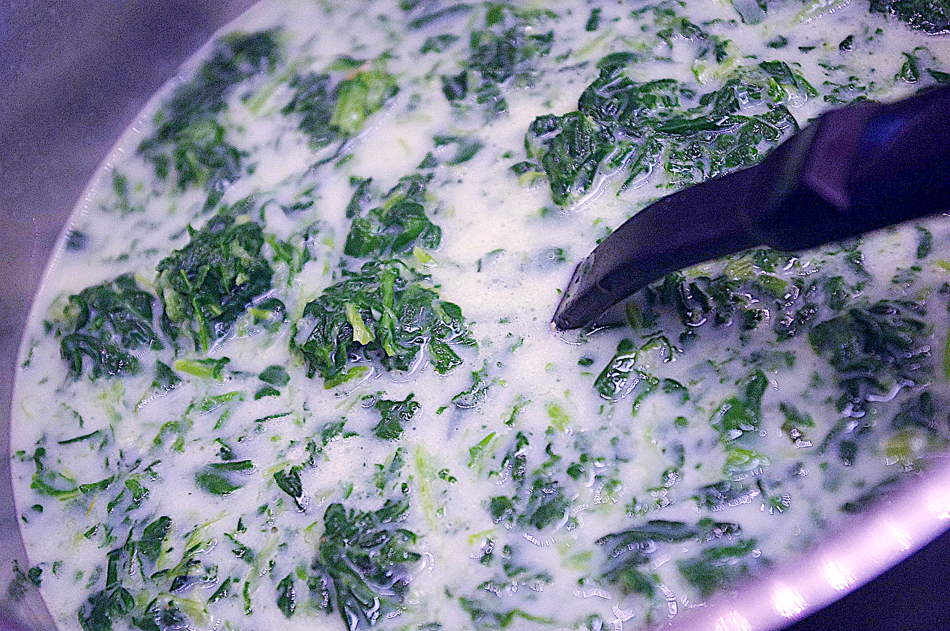 Zubereitung von Bolognese-Muscheln in Spinat-Rahm